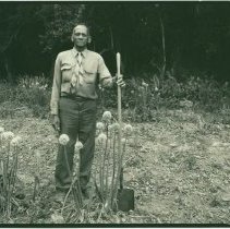 Mr. E. Levy in Onion Field, Bellrose, Louisiana