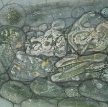 Small Skull Among Rocks