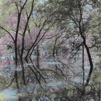 Flooded Creek, Golaid II. South Texas Landscapes, Part I. Edition 4/12