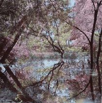 Flooded Creek, Golaid I. South Texas Landscapes Part I. Edition 4/12