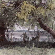 Roadside Hill Country. South Texas Landscapes Part I. Edition 4/12