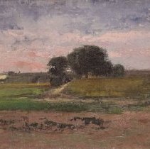 Oak Tree in a Field at Pink Sunset