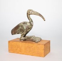 Ibis
