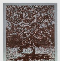 Louisiana Spring, Edition 9/10