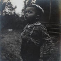 Handsome Lad at Dusk, Melville, LA