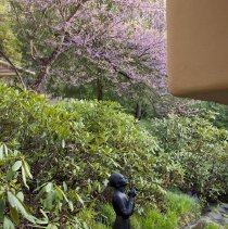 Photo by Christopher Little