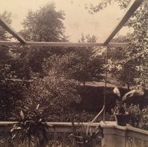 E. Alice Austen, [View from the balcony at Clear Comfort], ca. 1885.