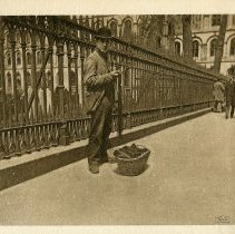 E. Alice Austen, Shoelace Peddler, copyright 1896.