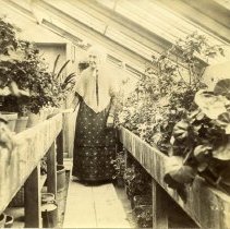 E. Alice Austen, Mrs. Rusten Van Rensselaer, ca. 1890.