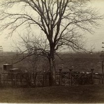 E. Alice Austen, [Looking towards the gate at Clear Comfort], ca. 1910