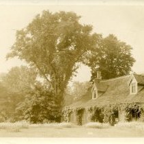 E. Alice Austen, [Clear Comfort with daisies in full bloom], ca. 1930