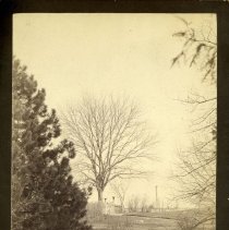 E. Alice Austen, Path to Gate, 1885