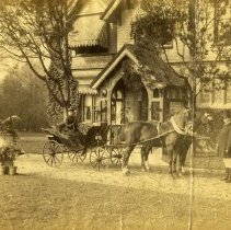 E. Alice Austen, Miss Hoyt, horses and phaeton, 1889