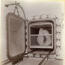 E. Alice Austen, Car with Mattress Pushed In, 1896.