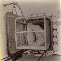 E. Alice Austen, Car Pulled Half Out, 1896.