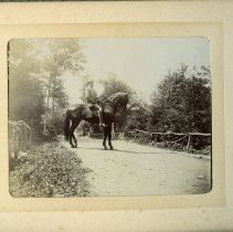E. Alice Austen, [Man on Horseback], 1899