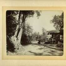 E. Alice Austen, [Road in Twilight Park], 1899