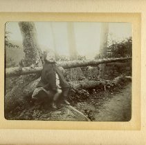 E. Alice Austen, [Child on Tree Branch in the Catskills], 1899