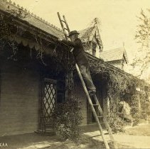 E. Alice Austen, [John Haggerty Austen on ladder], 1891