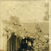 E. Alice Austen, [Rear of Clear Comfort with vines], ca. 1900.