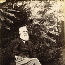 E. Alice Austen, Granddad Austen, ca. 1891.