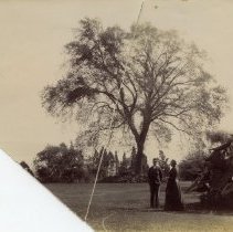E. Alice Austen, [Adeline and Harry beside a large plant], 1893