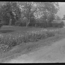 E. Alice Austen, Grey Squirrel, 1920