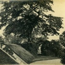 E. Alice Austen, [End of the path with steps to Clear Comfort], ca. 1885.