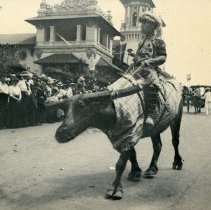 E. Alice Austen, [Man riding water buffalo in a parade: Pan American Expo],