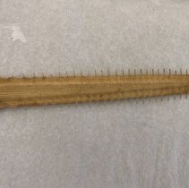 Sawfish Rostrum