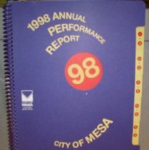 1998 Annual Performance Report