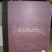 City of Mesa, Arizona Executive Budget Plan