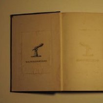 Citizeness Bonaparte