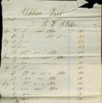 Stephen Estate Paper013a