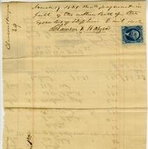 Stephen Estate Paper004b