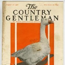 2009.01.01 1916 Aug 26