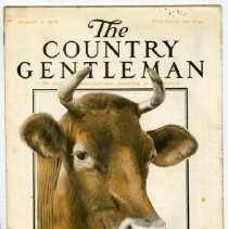 2009.01.01 1916 Aug 5