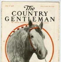 2009.01.01 1916 July 8