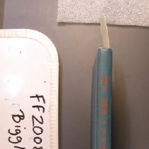 2008.21.1 Spine Biggle