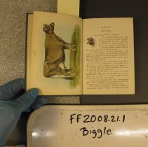 2008.21.1 Art Biggle