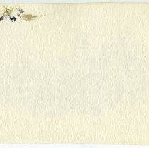 2020.02 Botanical 11 Caroline Back