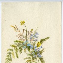 2020.02 Botanical 9 Caroline