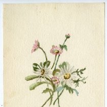 2020.02 Botanical 10 Caroline