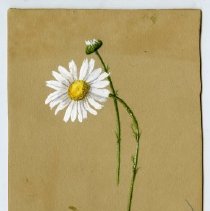 2020.02 Botanical 13 Carrie