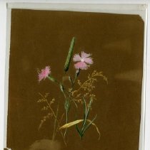 2020.02 Botanical 18 Carrie