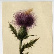 2020.02 Botanical 12 Carrie