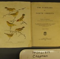 2021.3.19 Chapman Title Page