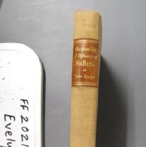 2021.3.79 Evelyn Spine