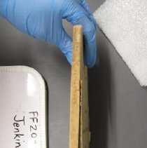 2021.3.26 Jenkins Spine