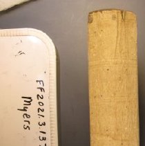 2021.3.137 Myers Spine